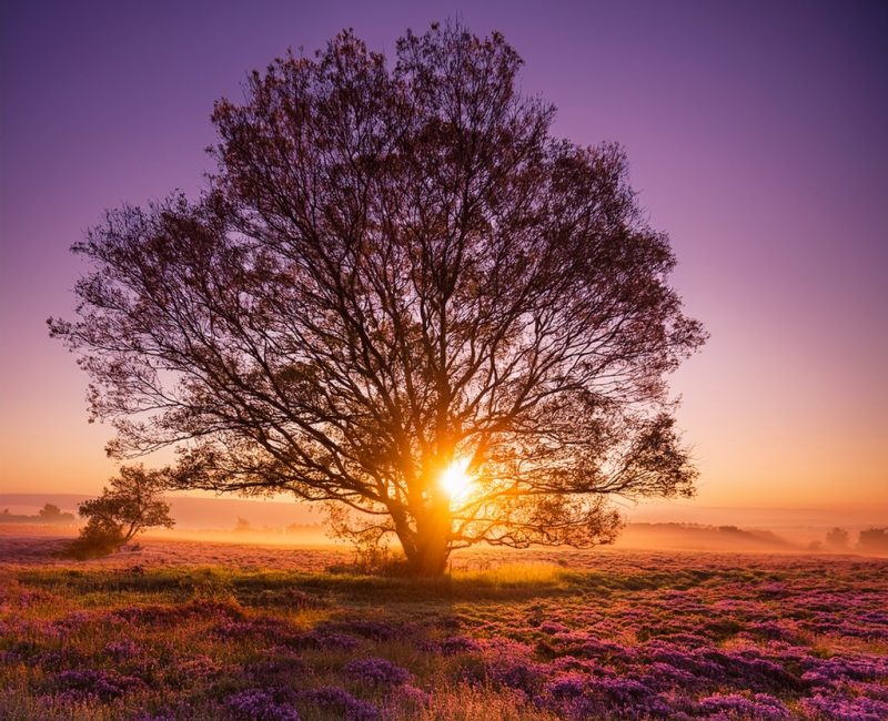 WhatsApp Image 2025-12-04 at 10.11.50 PM